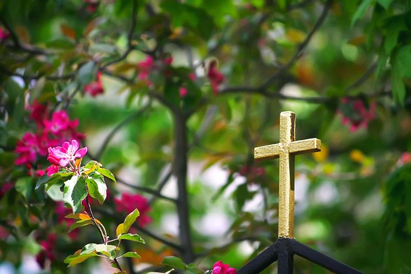 Consider the Religious Beliefs of the Deceased's Family